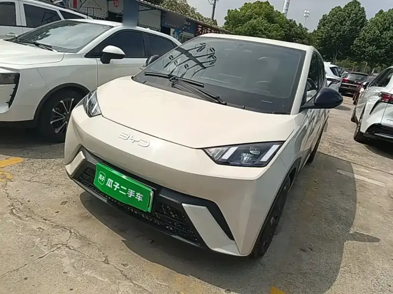BYD Seagull