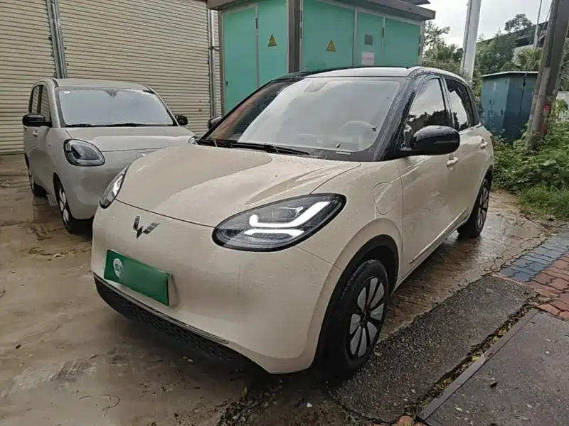 Wuling Bingo