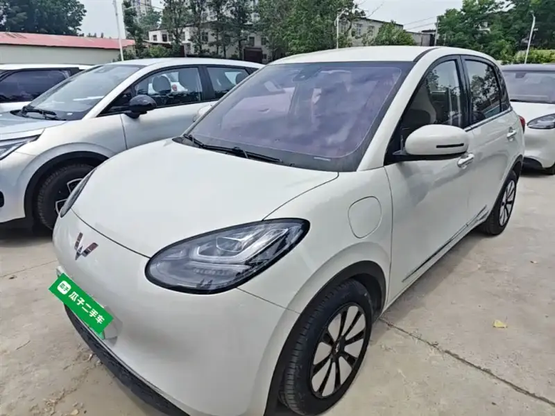 Wuling Bingo