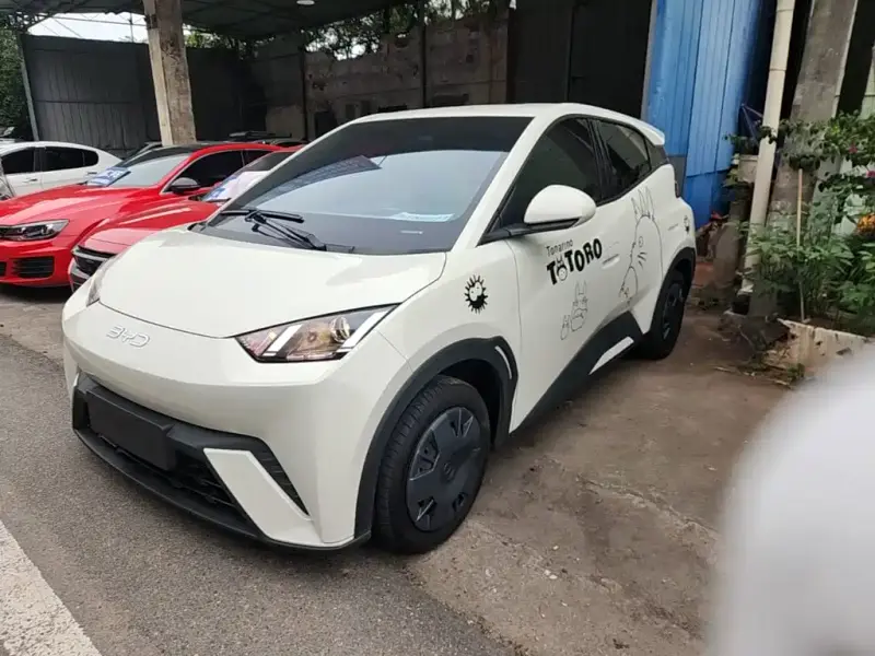 BYD Seagull