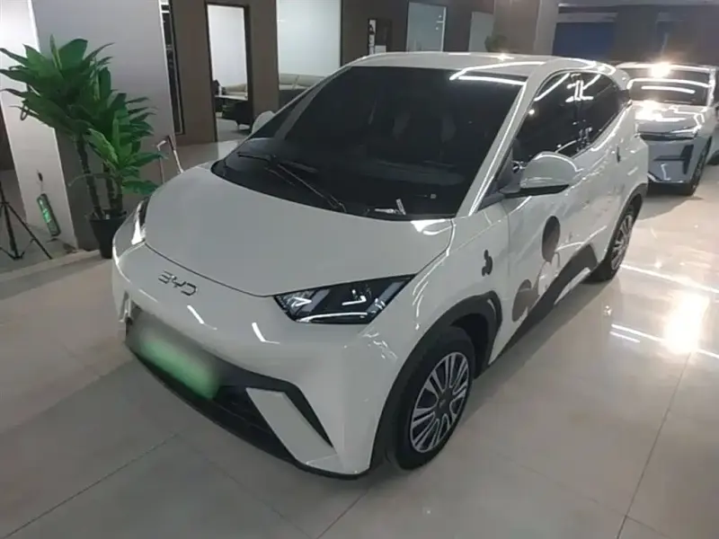 BYD Seagull
