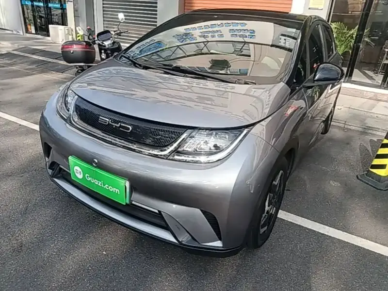 BYD Dolphin