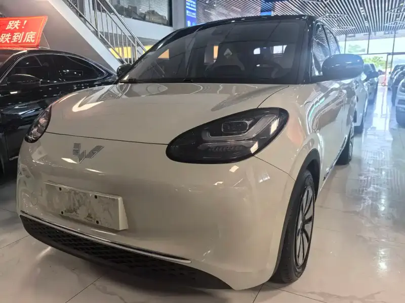 Wuling Bingo