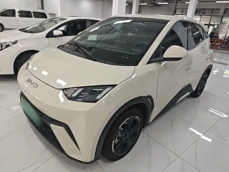 BYD Seagull