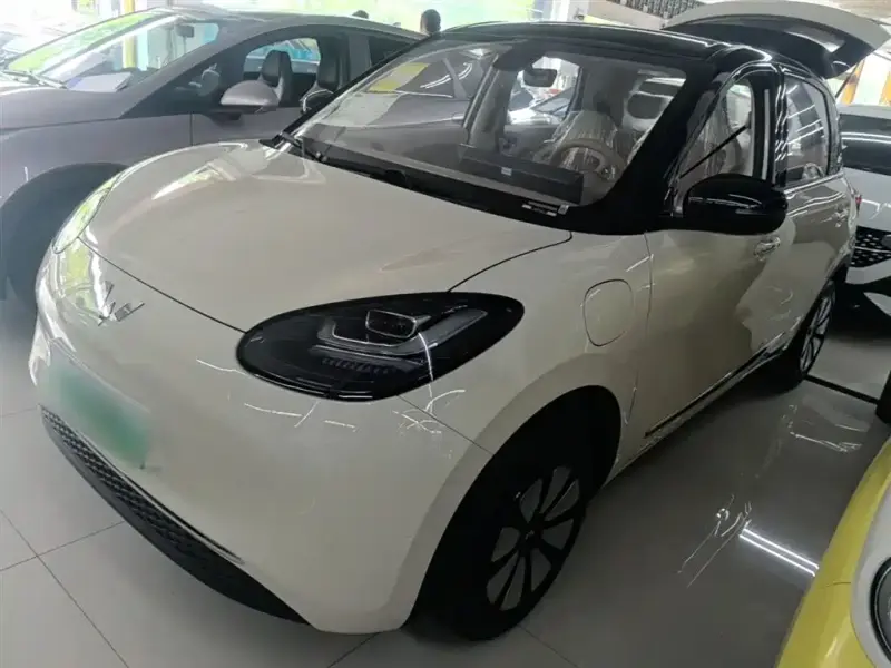 Wuling Bingo