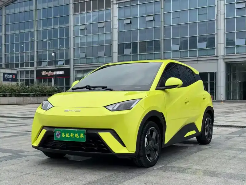 BYD Seagull