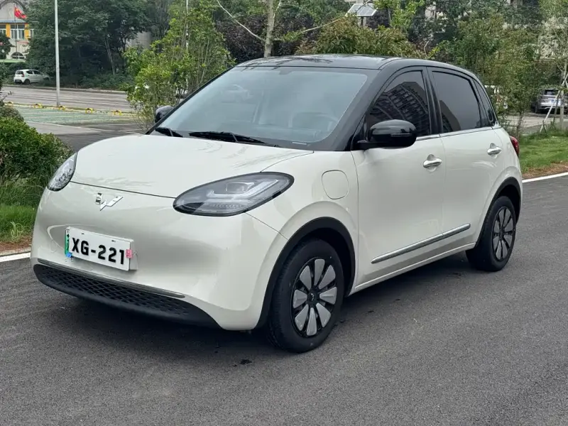 Wuling Bingo
