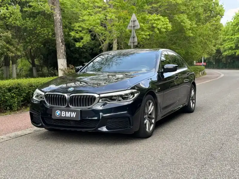 BMW 5 Series (Import)