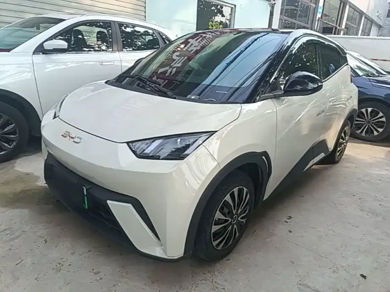 BYD Seagull