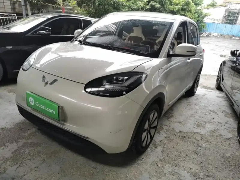 Wuling Bingo