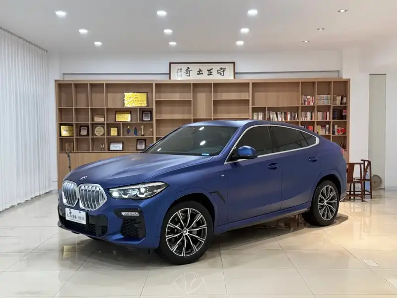 BMW X6