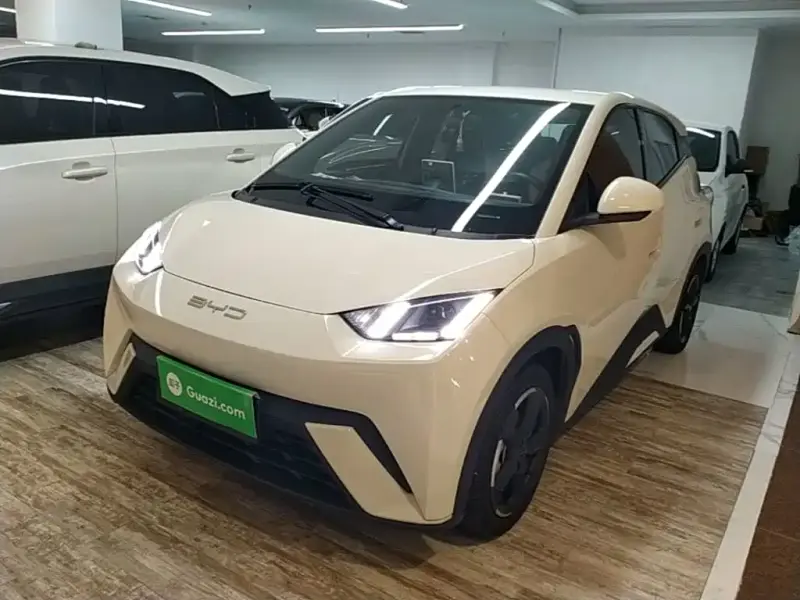 BYD Seagull