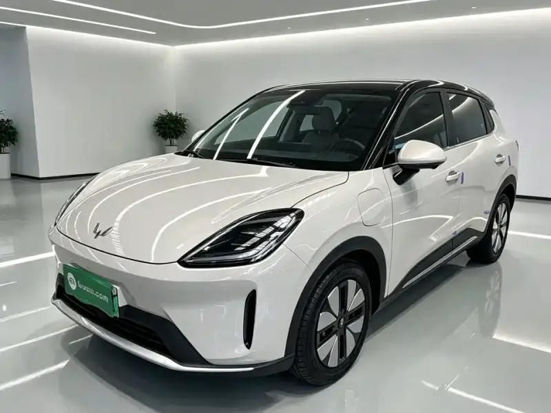 Wuling Bingo S