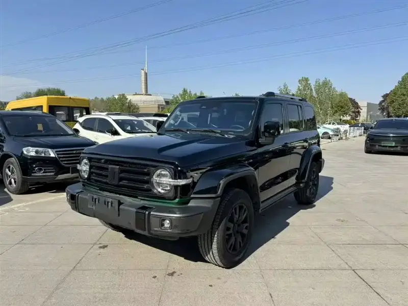Tank 300