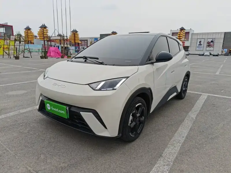 BYD Seagull