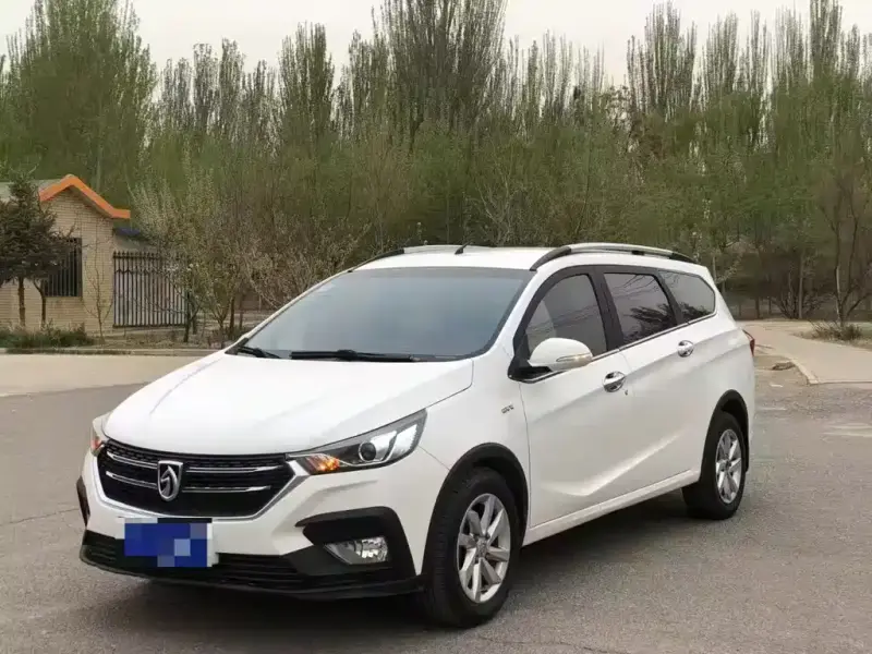 Baojun 310W