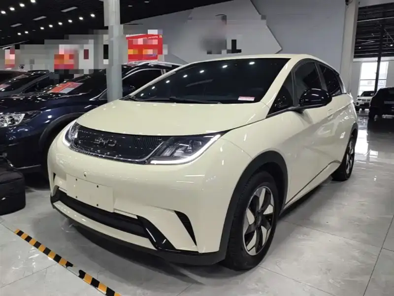 BYD Dolphin