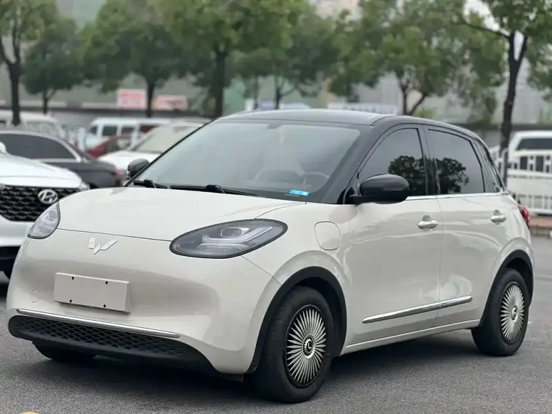 Wuling Bingo