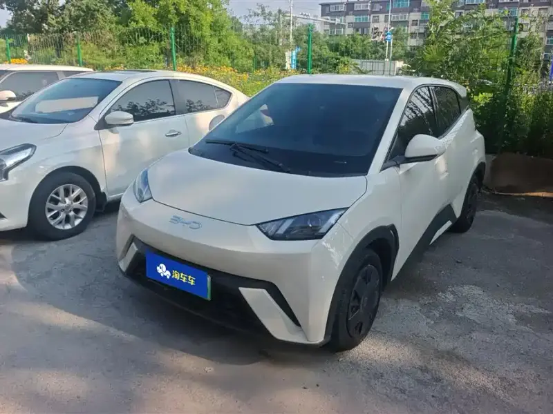 BYD Seagull