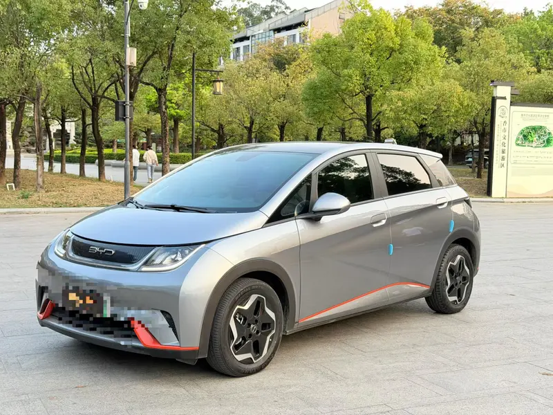 BYD Dolphin
