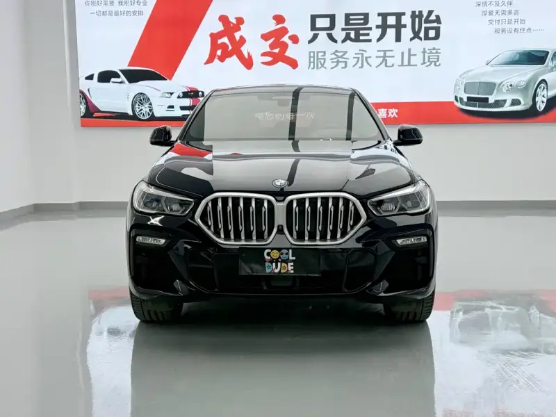 BMW X6
