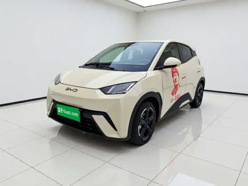 BYD Seagull