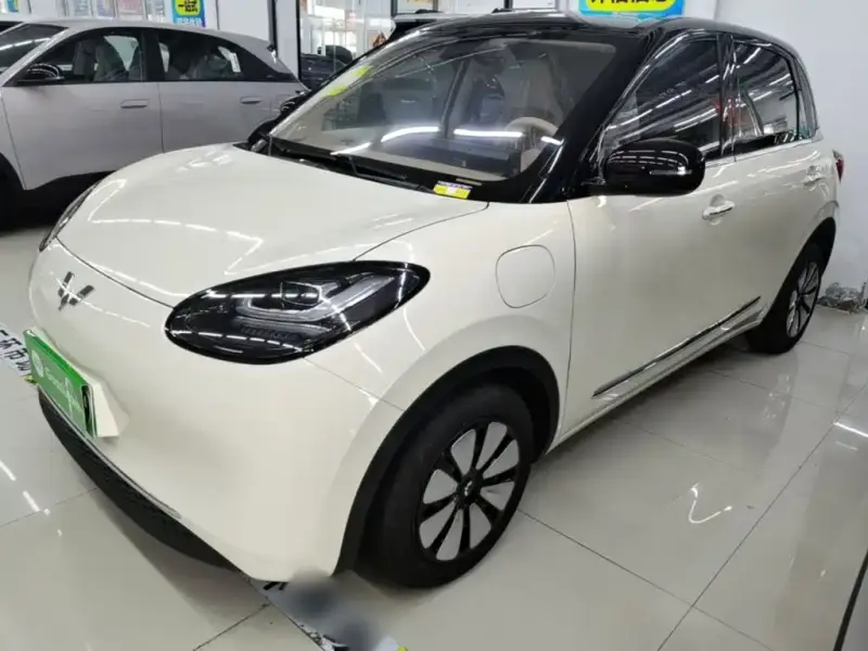 Wuling Bingo