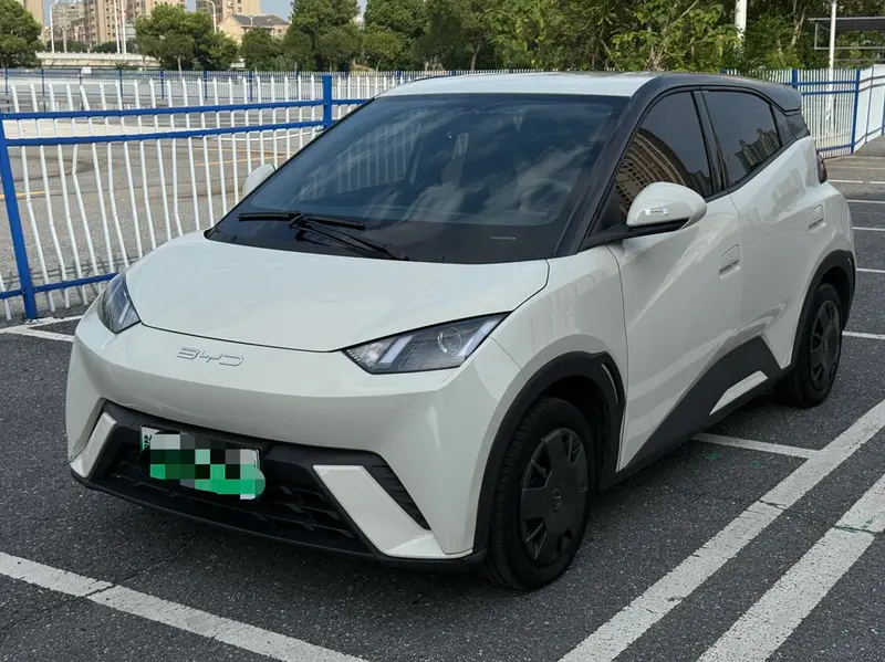 BYD Seagull