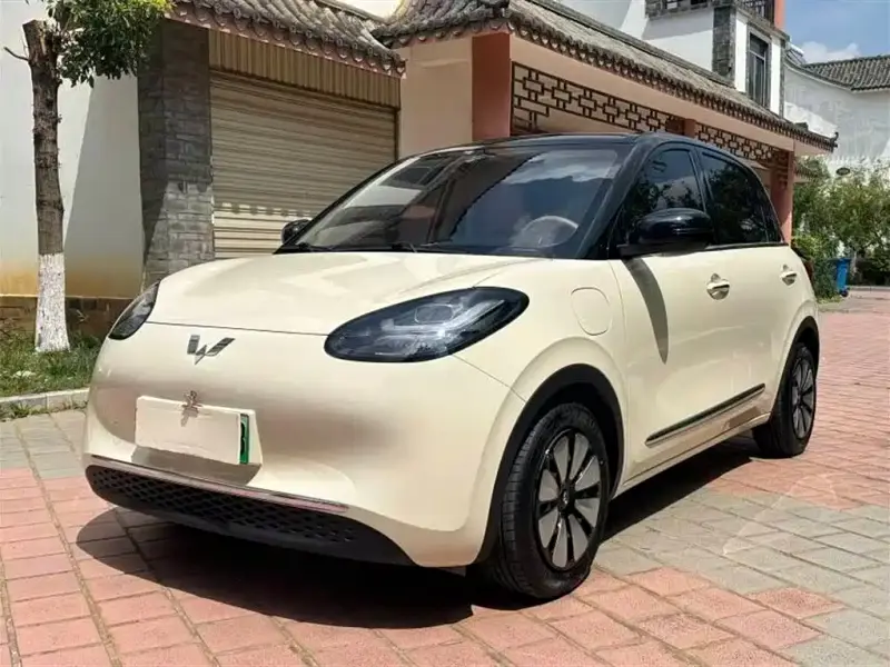 Wuling Bingo