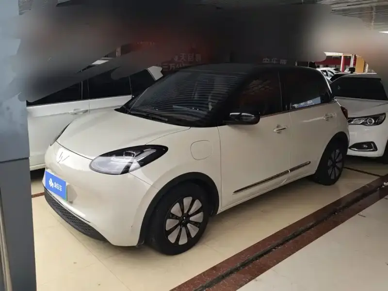 Wuling Bingo