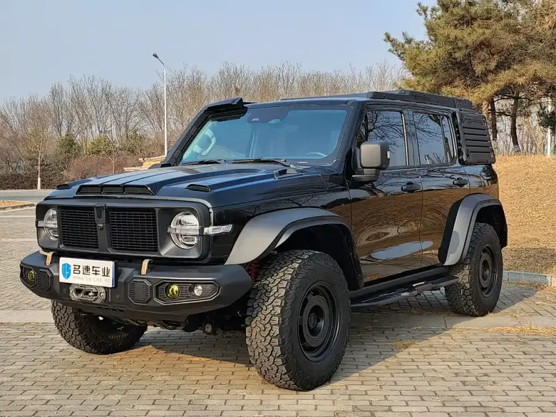 Tank 300