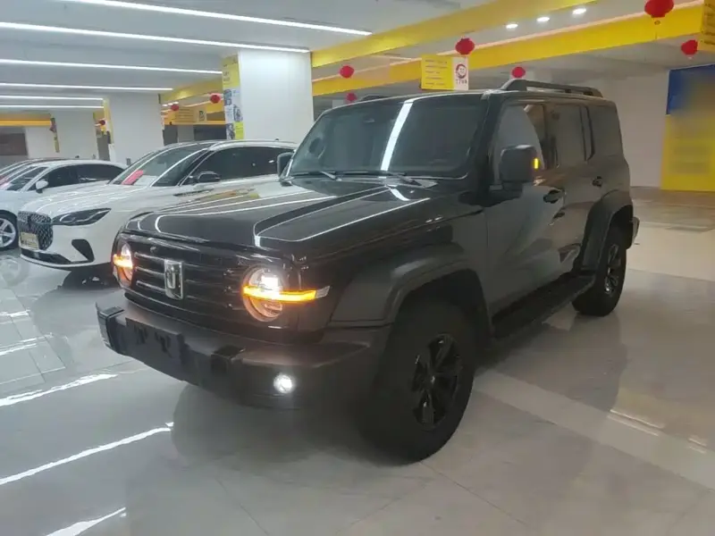 Tank 300