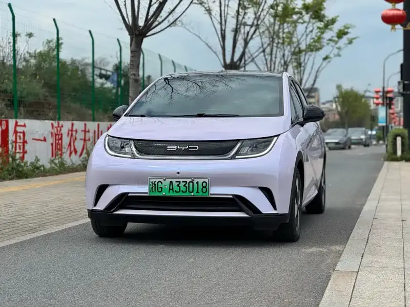 BYD Dolphin