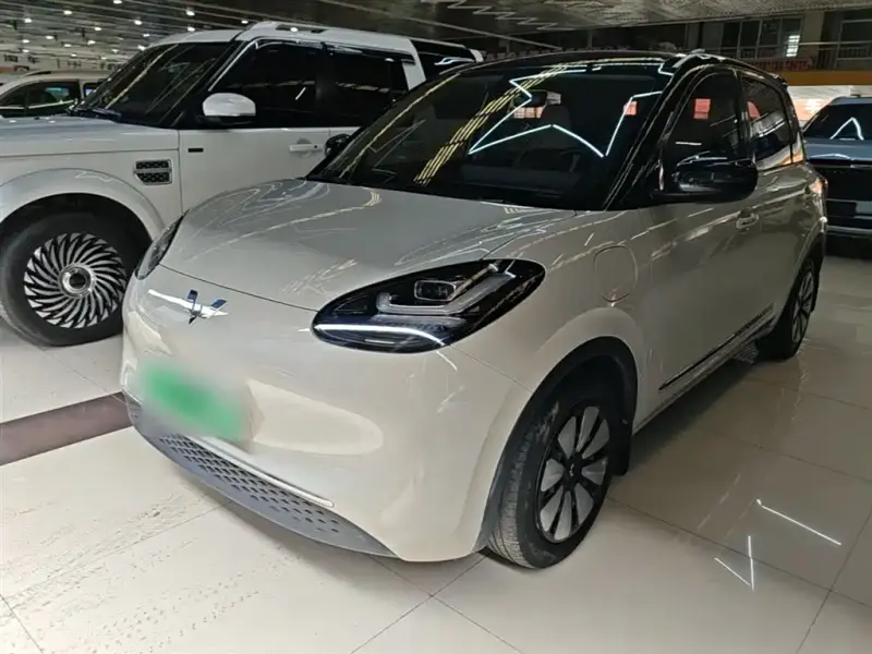 Wuling Bingo