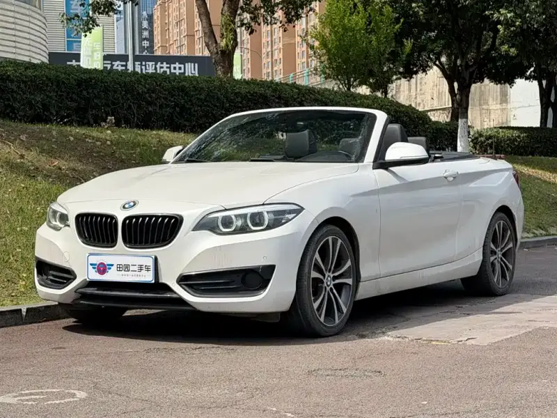 BMW 2 Series (Import)