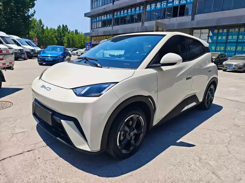 BYD Seagull