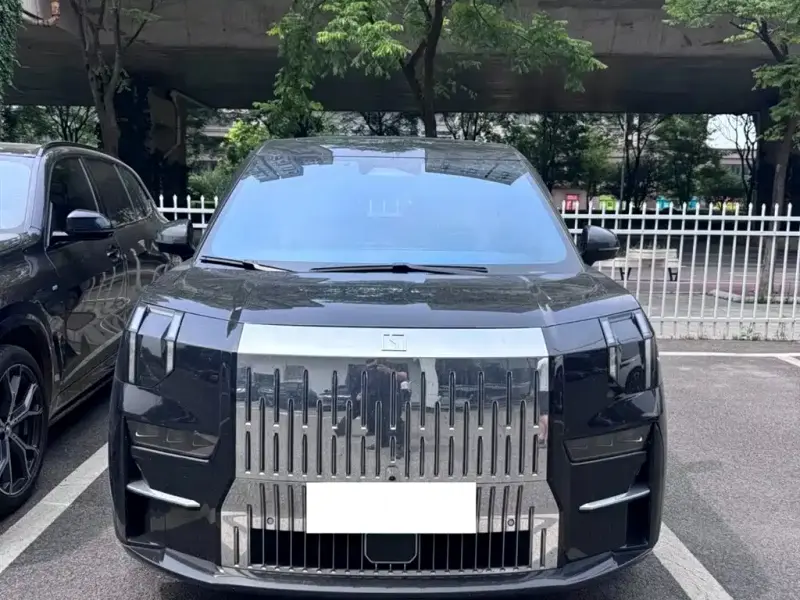 Zeekr 009