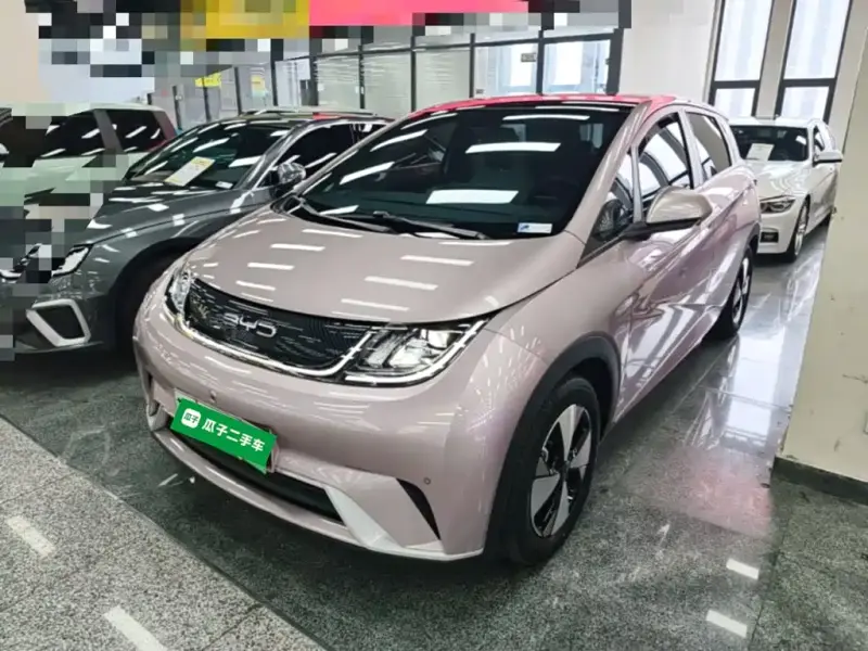 BYD Dolphin