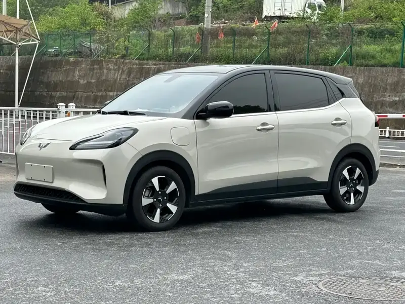 Wuling Bingo PLUS