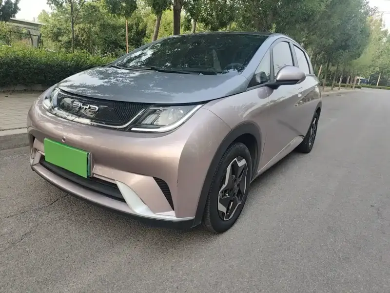 BYD Dolphin