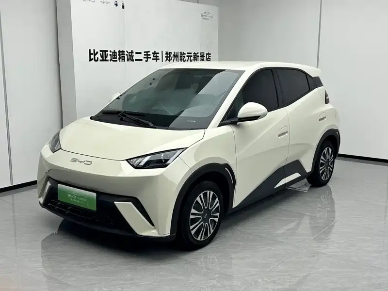 BYD Seagull