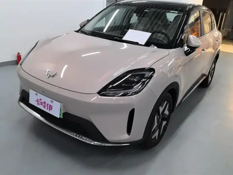 Wuling Bingo S