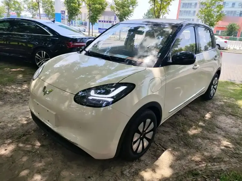 Wuling Bingo