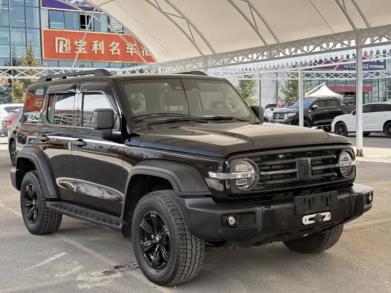 Tank 300