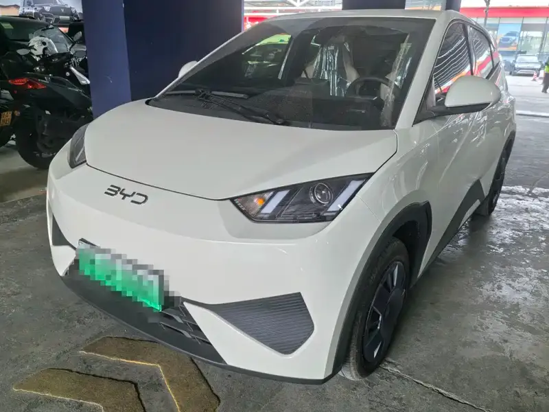 BYD Seagull