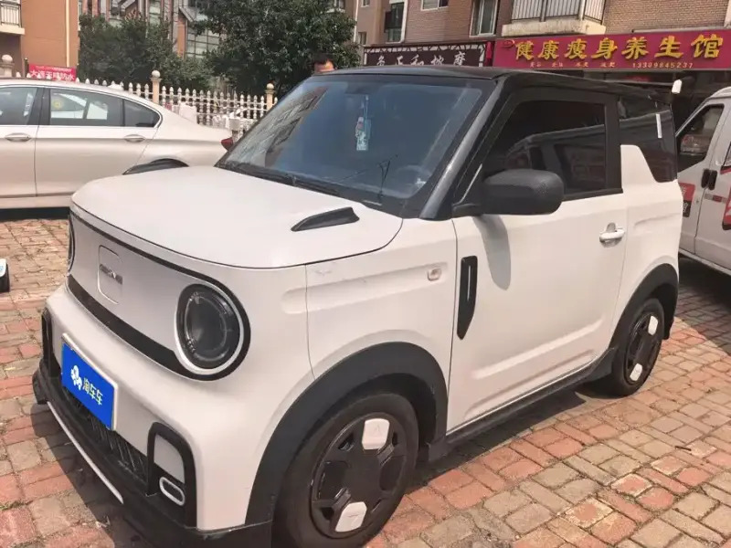 Galaxy Panda Mini (Panda)