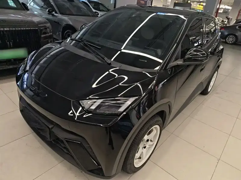 BYD Seagull