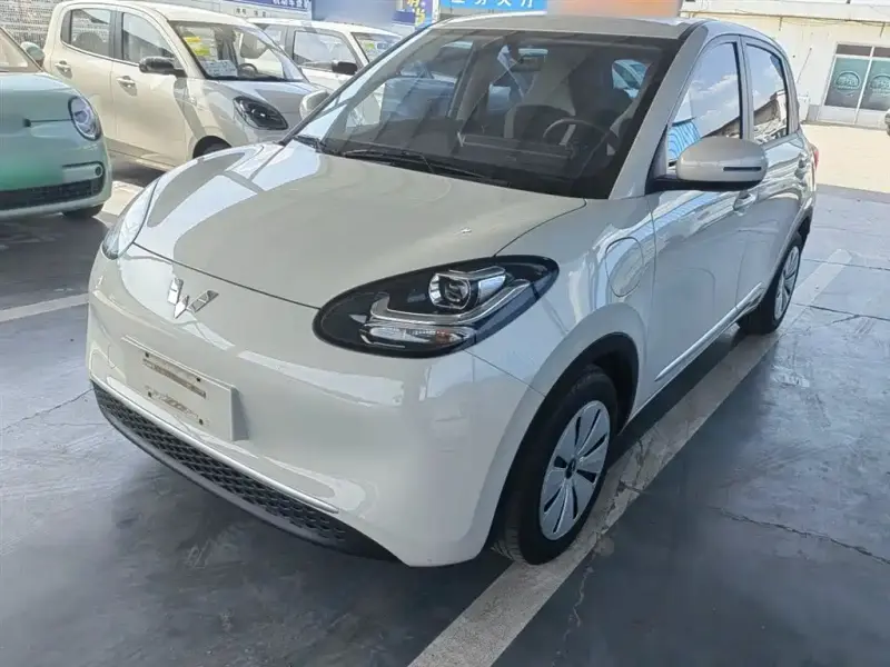 Wuling Bingo