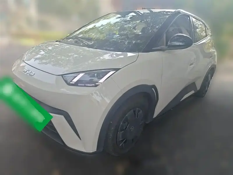 BYD Seagull