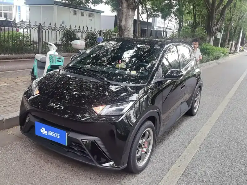 BYD Seagull